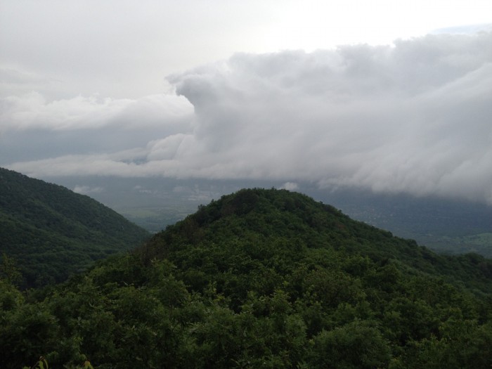 IMG_0491.JPG