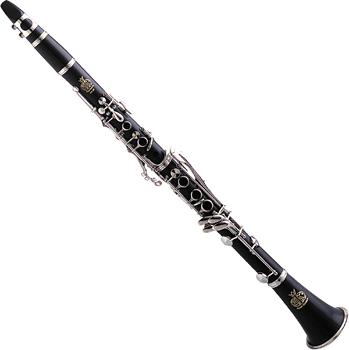 arm103773.jpg