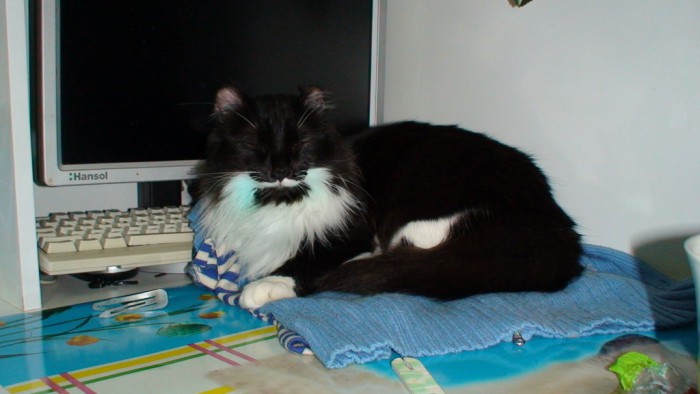 DSC01063.jpg
