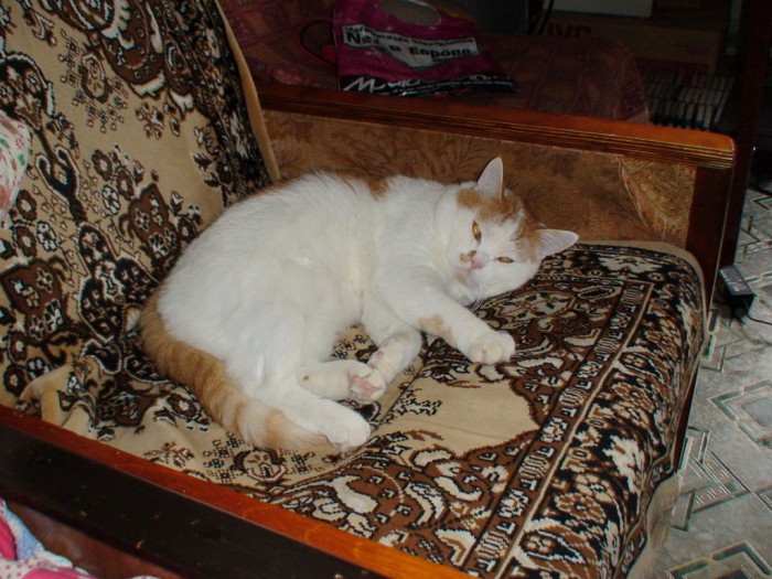 DSC00928.jpg