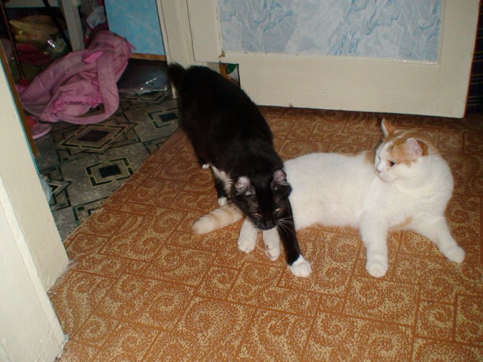 DSC00892.jpg