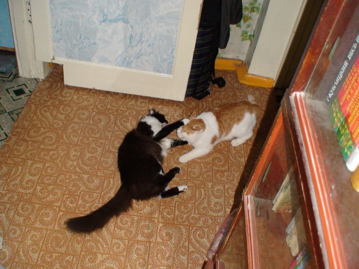 DSC00882.jpg