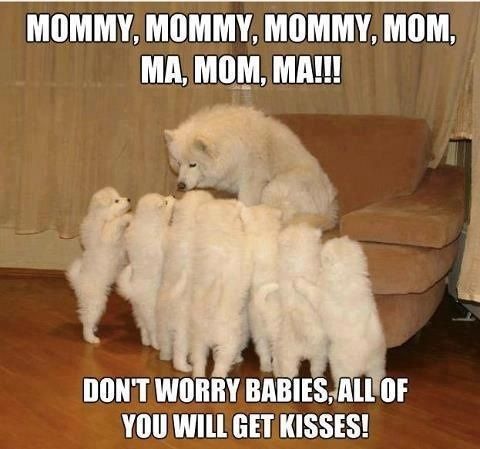 Новый рисунок (21).jpg
