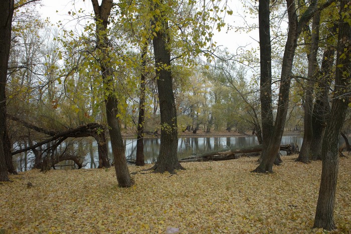 РЕС...SDIM0441.JPG