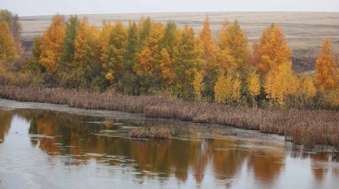 РЕС...IMG_4927.JPG