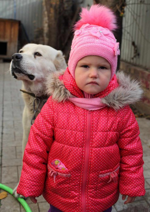 РЕС...IMG_4967.JPG