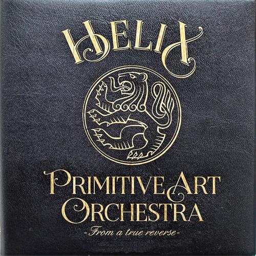Primitive Art Orchestra - Helix 2014.jpg