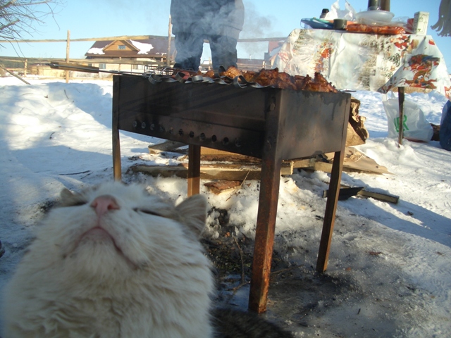 7 и были гости.JPG