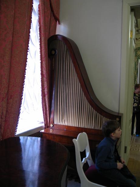 p10.JPG