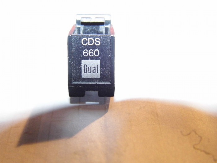 DSCI0619.JPG