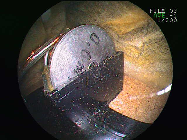 DSCF0058.JPG