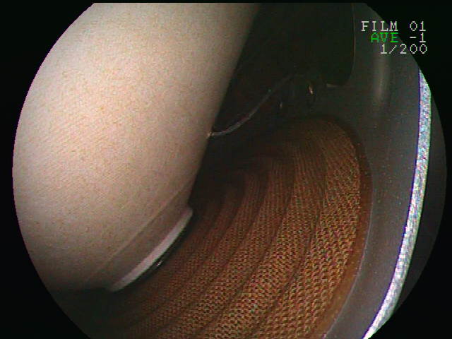 DSCF0053.JPG