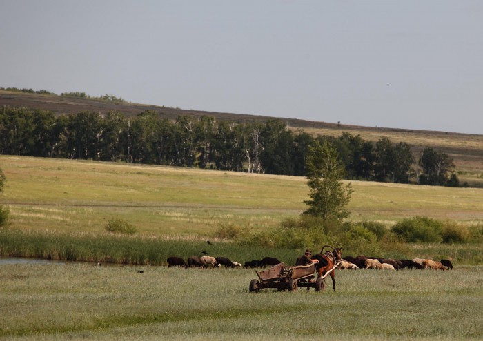 РЕС...IMG_5966.JPG