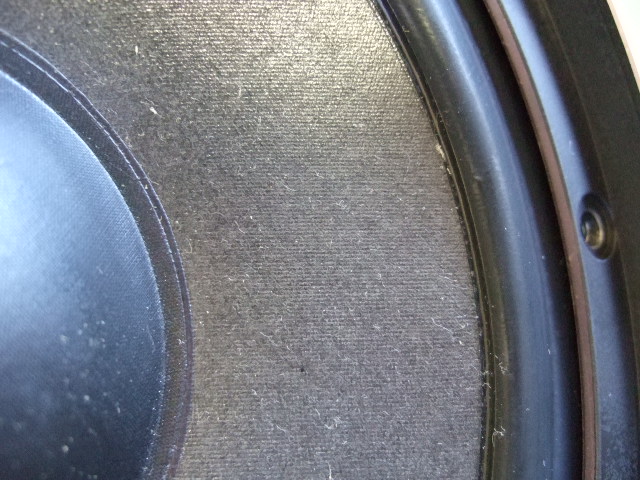 DSCF2501.JPG