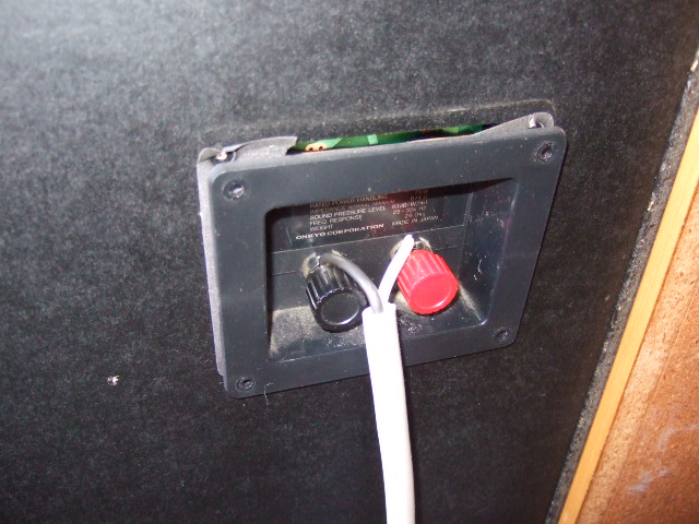 DSCF2528.JPG