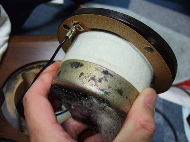 DSCF5526.JPG
