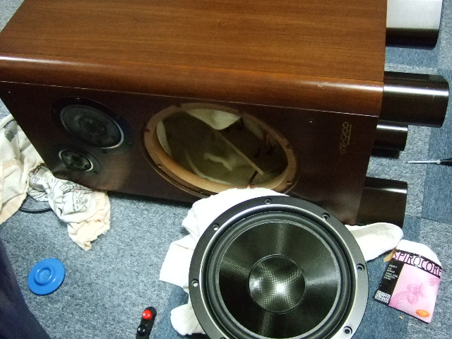 DSCF5541.JPG