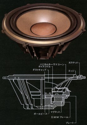 ds-2000(2).jpg