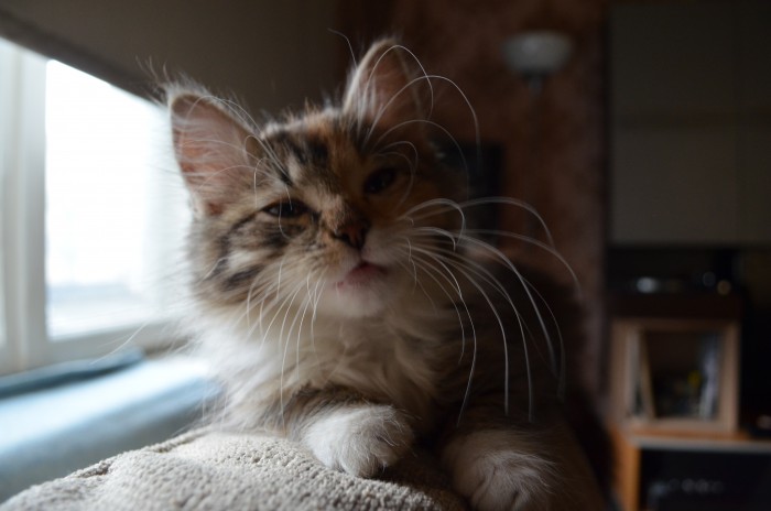 DSC_3751.JPG