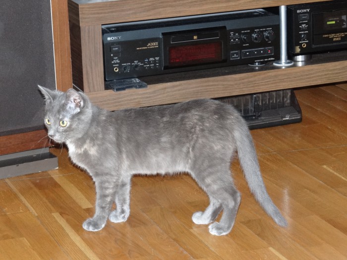DSC00742.JPG
