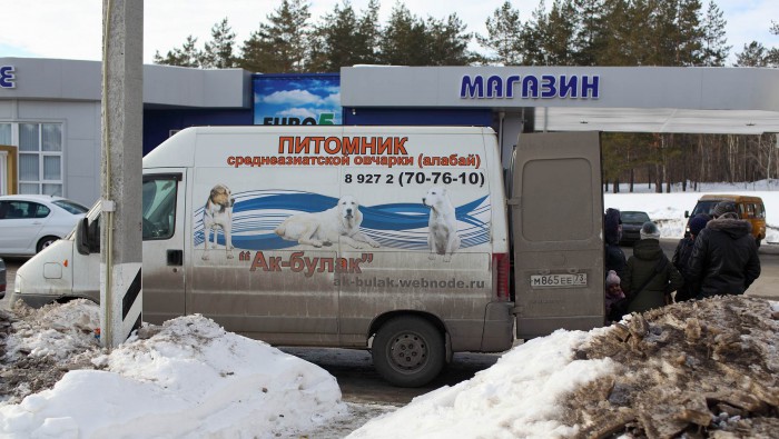 РЕС...IMG_7110.JPG