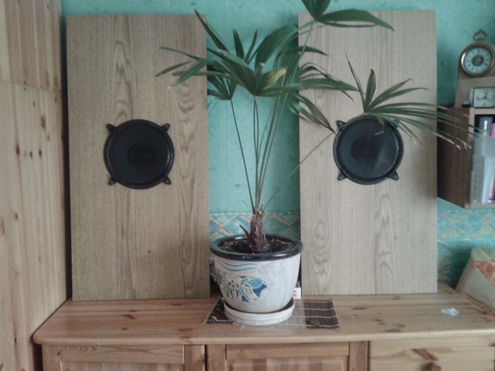 20141203_122737.jpg