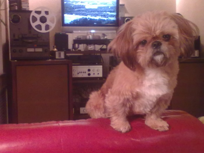 01012015808.jpg