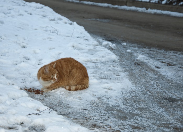 DSC_0856.JPG