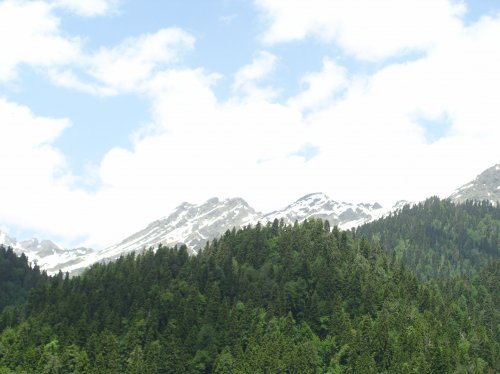 P1010059_500x374.jpg