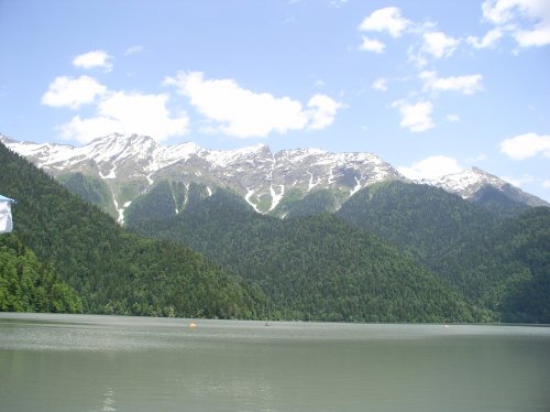 P1010060_500x374.jpg
