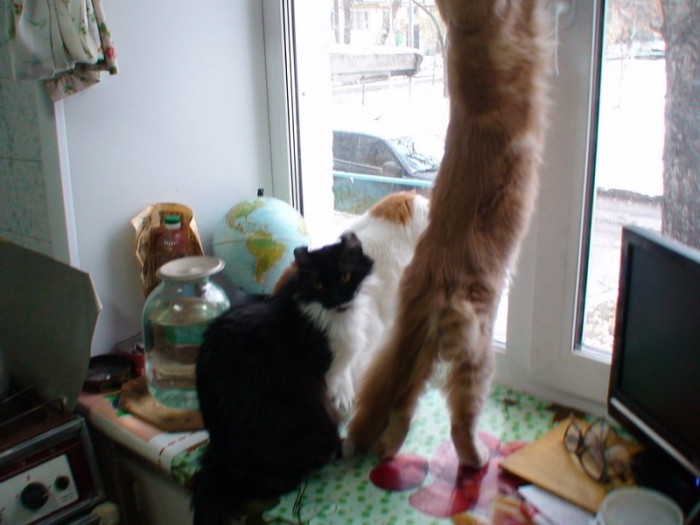DSC01428.jpg