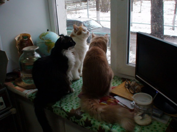 DSC01429.jpg