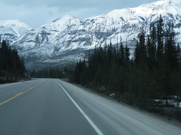 DSCF5990.JPG