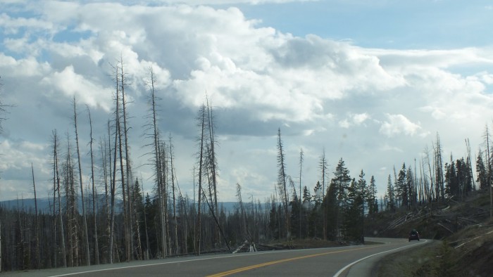 DSCF1625.JPG