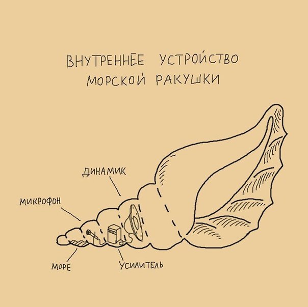 qwikJChSfyo.jpg