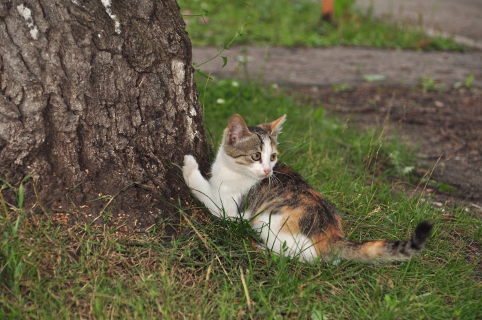 DSC_3238.JPG