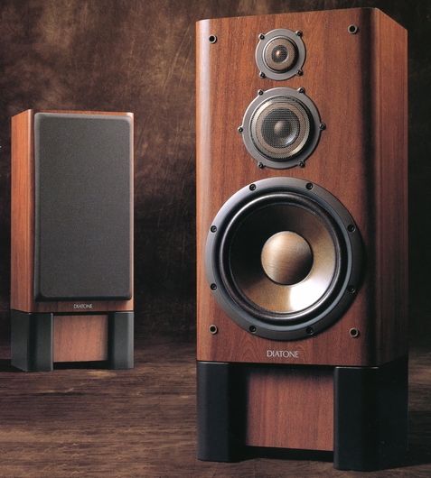 ds-800z.JPG
