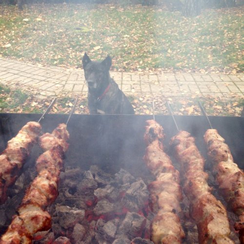 image (5)_500x500.jpg