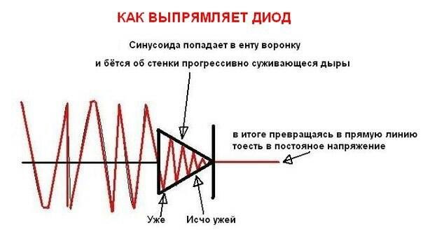 IMG_0450.JPG