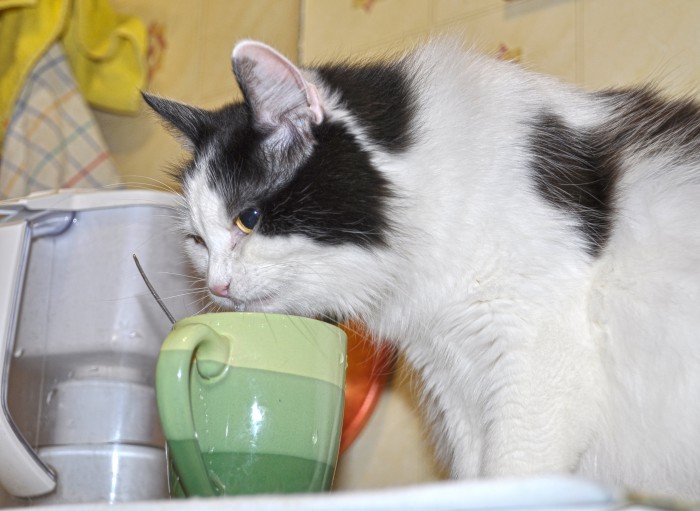 DSC_5402.JPG