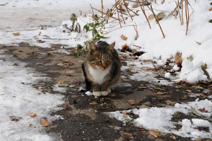 DSC_5497.JPG