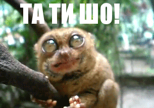 ты чё.gif