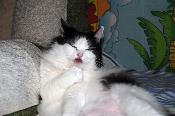 DSC_1522.JPG
