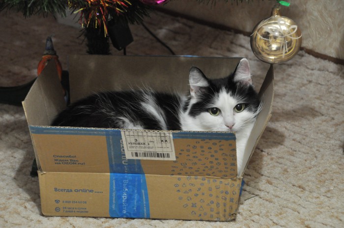 DSC_5884.JPG