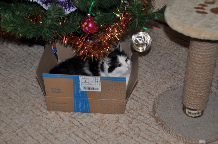 DSC_5879.JPG
