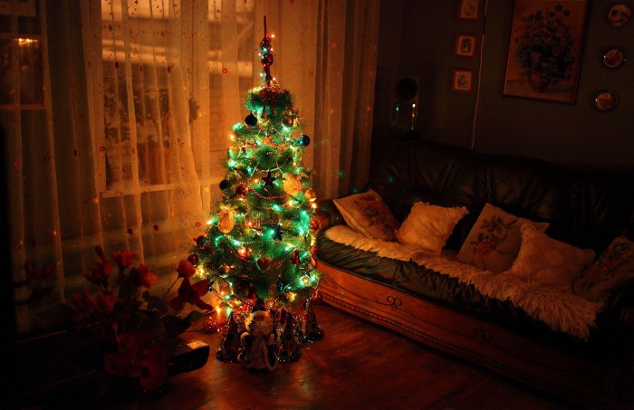 sized_IMG_8543.JPG