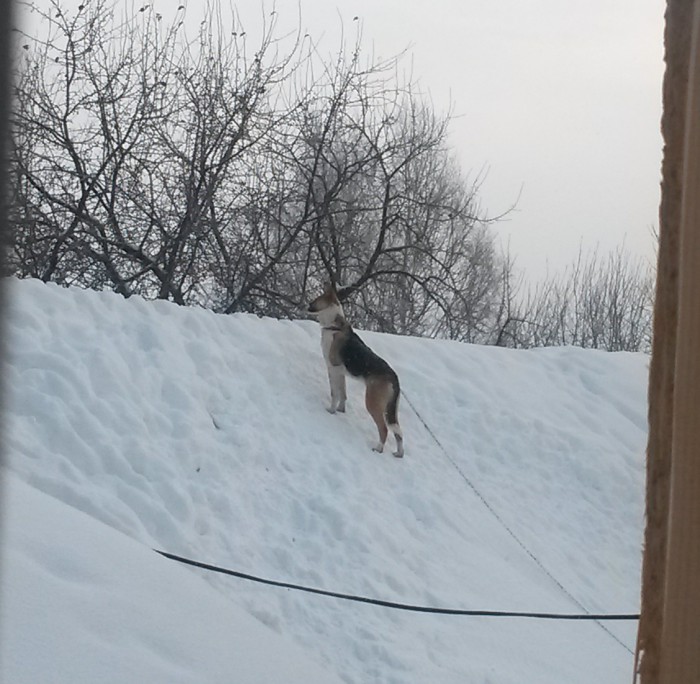 20170118_125929.jpg