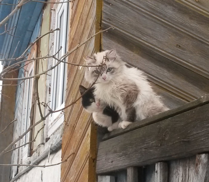 20170307_165648.jpg