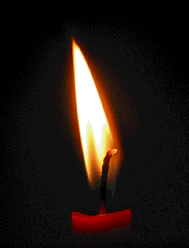 Candela_.gif
