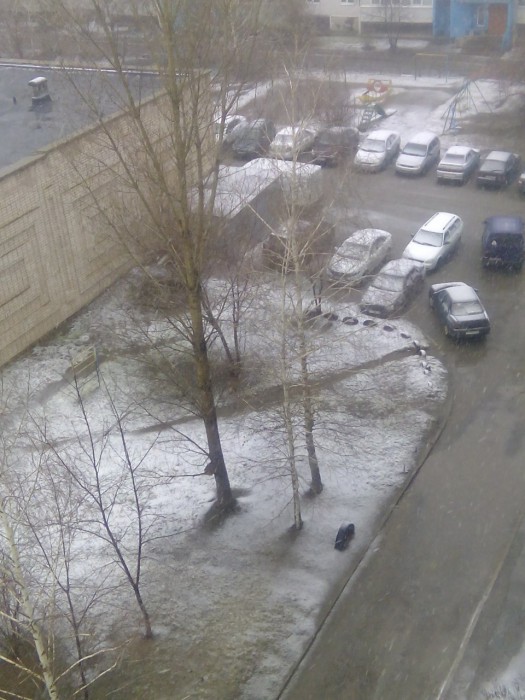 весна 22.04.jpeg